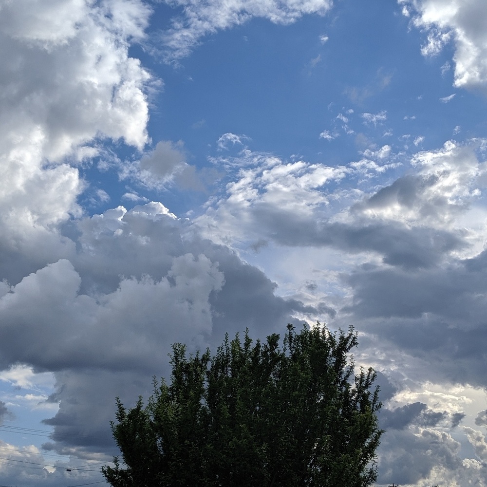 Meet your Posher, Sondra